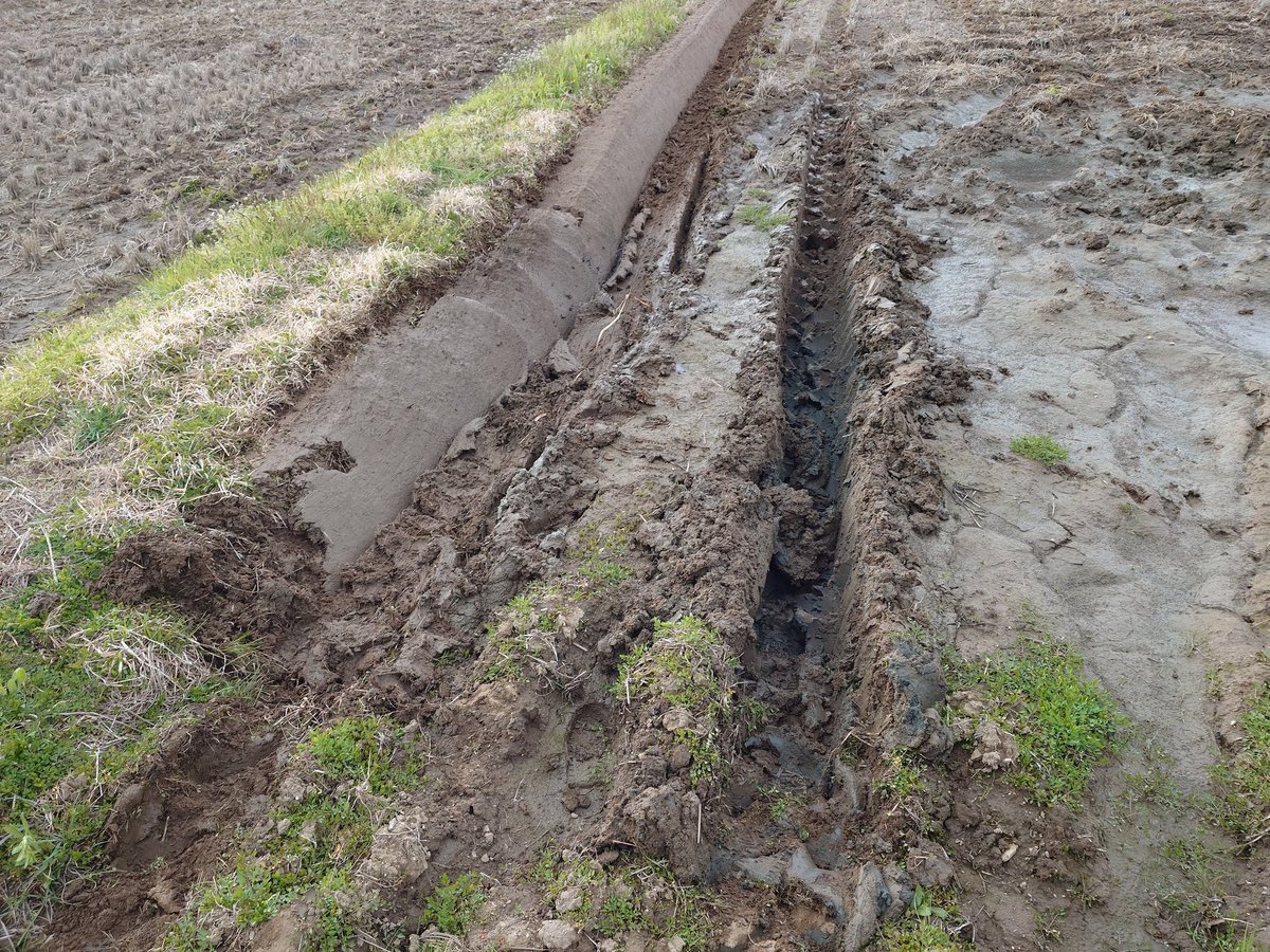 ゴリさん tweet media