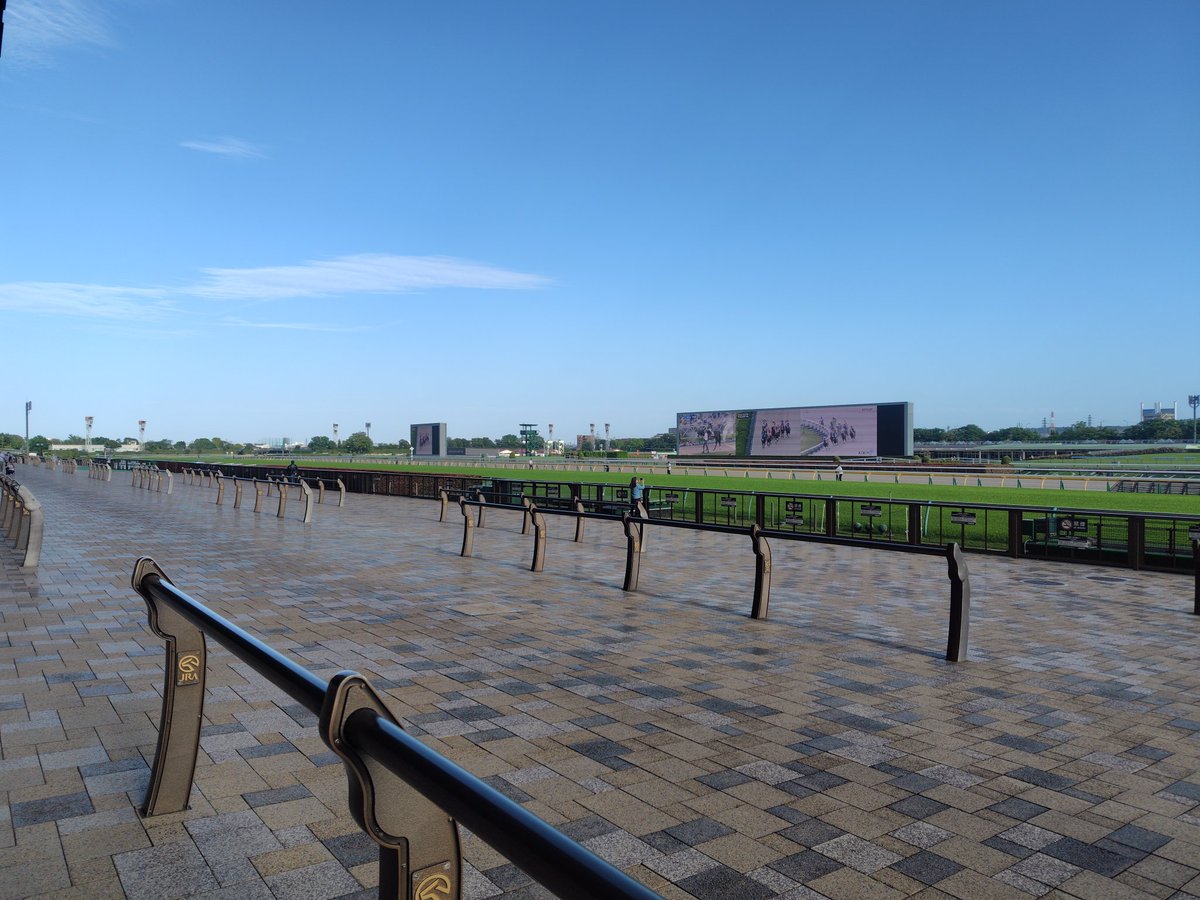 びびっとヒロ！（ヒロやん）🏃‍♀️🍊🍋👻 tweet media