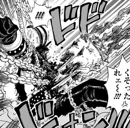 Jojo D. Gaucho 🏴‍☠️🇵🇸 tweet media