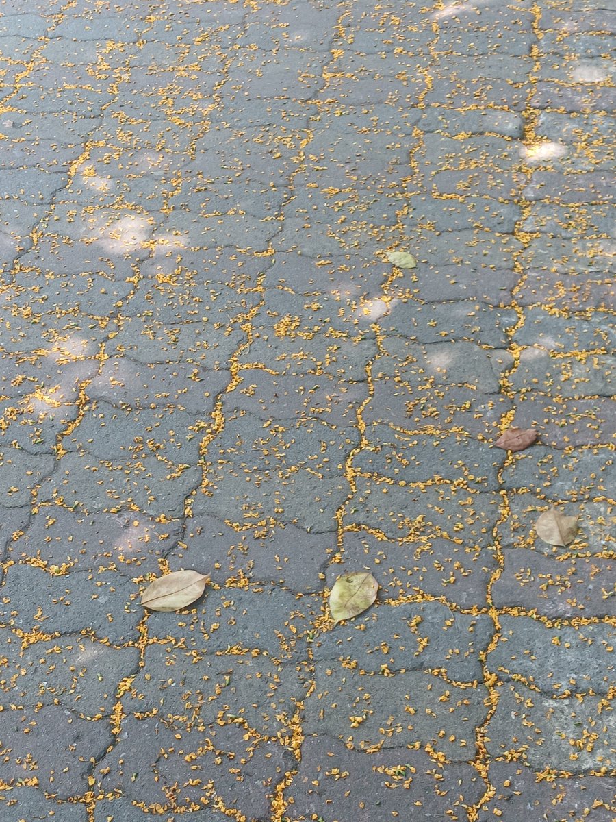 astrid ✧ (@astriddles) on Twitter photo 