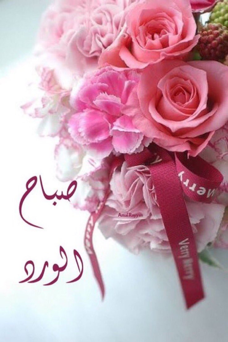 الغنيم عادل tweet media