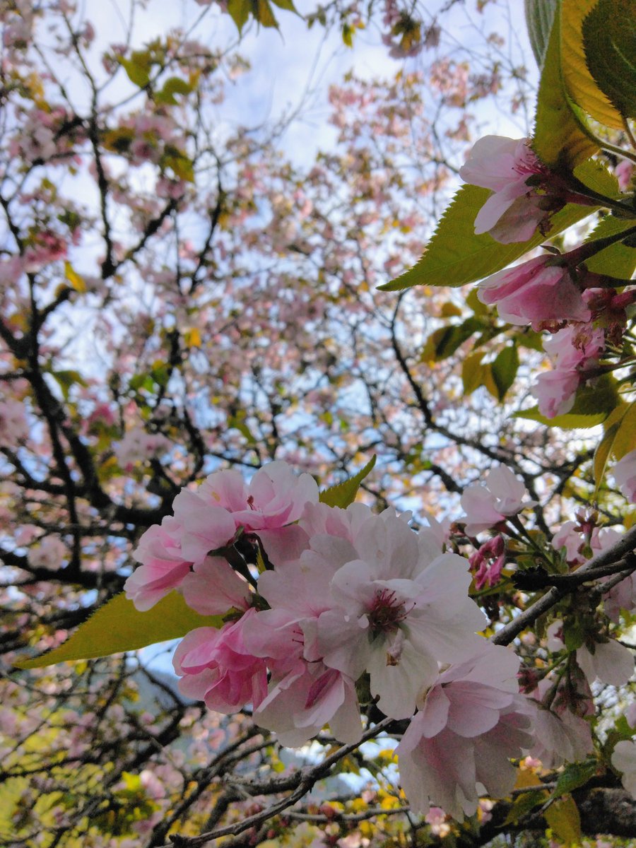 ゴミ箱＠たかはし tweet media