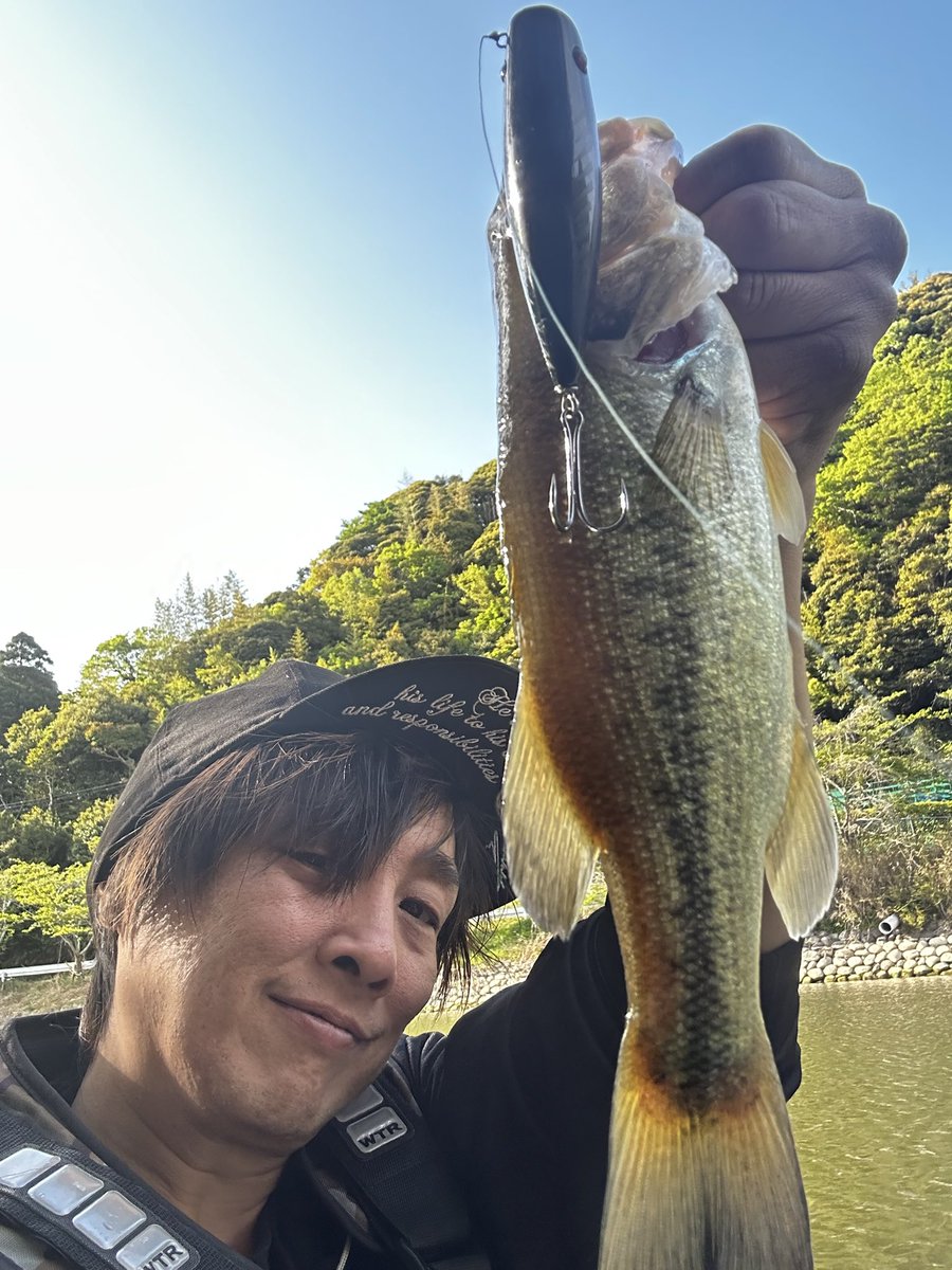 ぽっくん tweet media