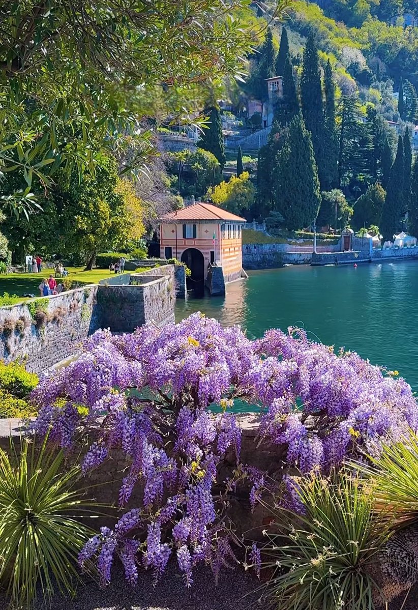 Monica 🍀⚘️🌍📚🐞🎧 tweet media