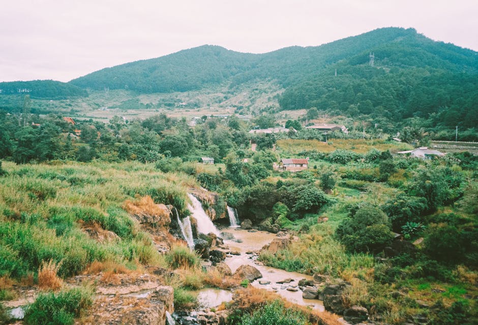 Charles Gordon tweet media