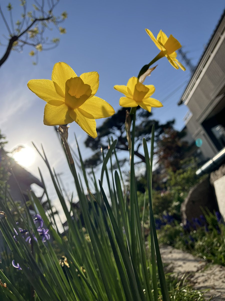 横田＠長野市の塾長＆オンライン家庭教師😉💯 tweet media