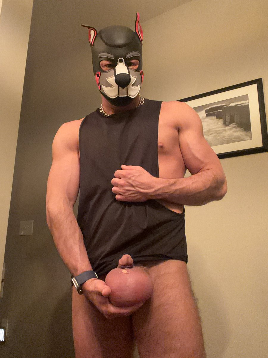 pupgrym's tweet photo. 🫣 https://t.co/NE8QBrFs4U