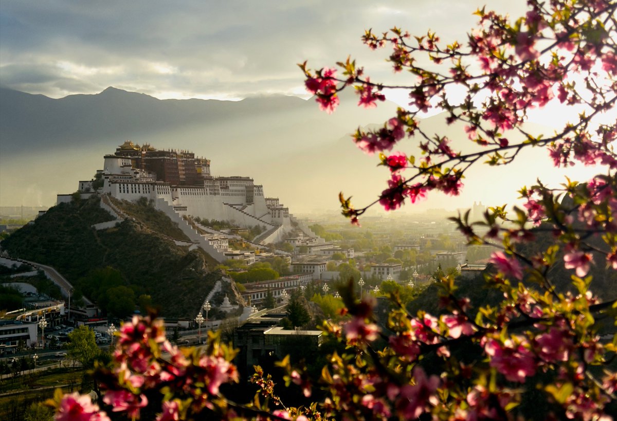 The Potala Palace is in Lhasa.