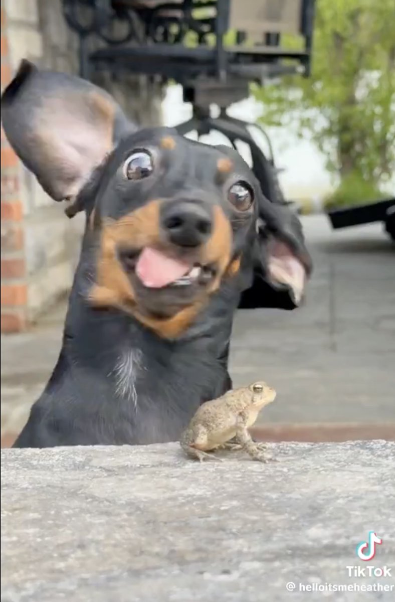 EasyE1111.eth tweet media