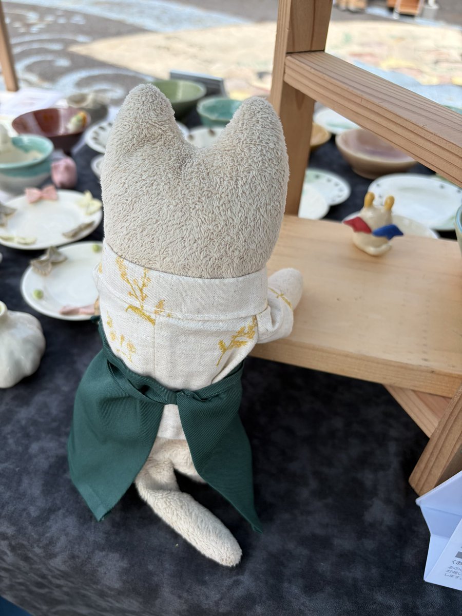 CoFumo's tweet photo. お店番ムギ😸 https://t.co/iosbTEUYZA
