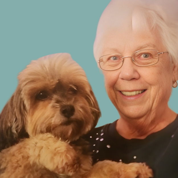 RadioNLNews tweet media