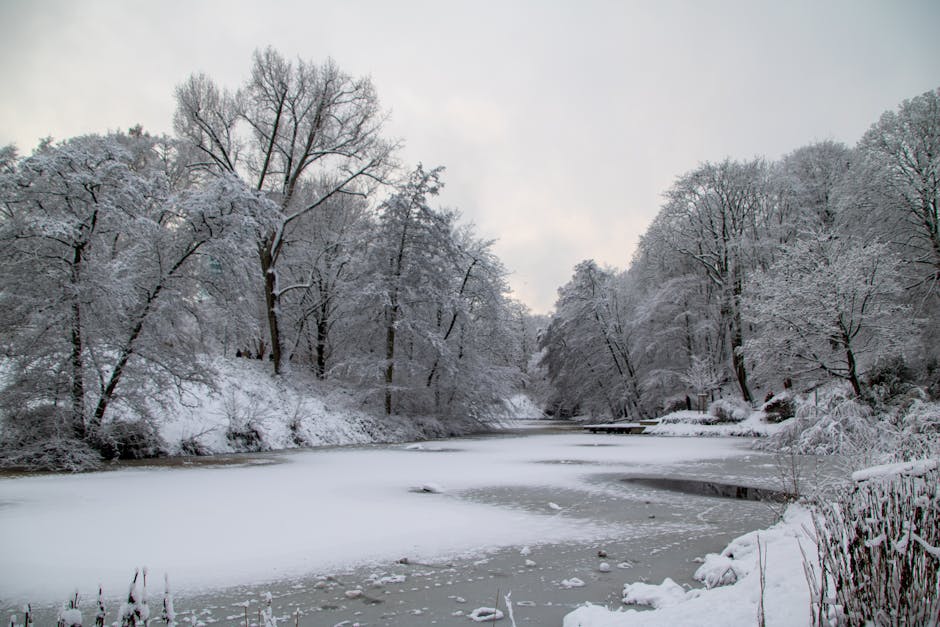 Natasha Griffin tweet media