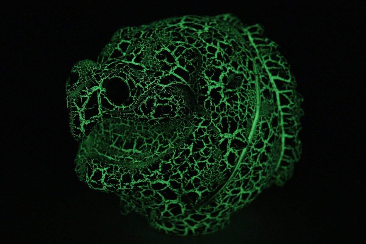 付喪亀 tweet media