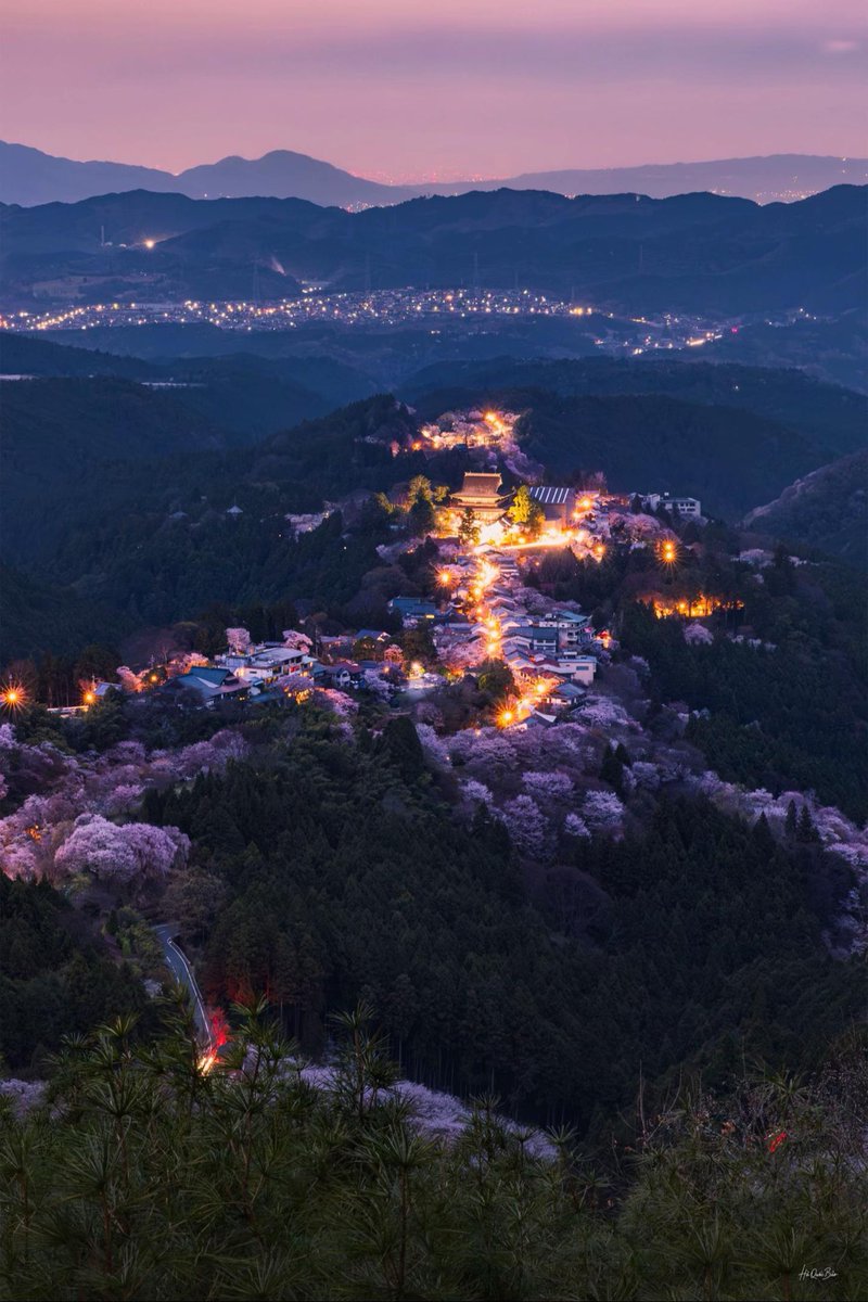 Shiori 汐里 tweet media