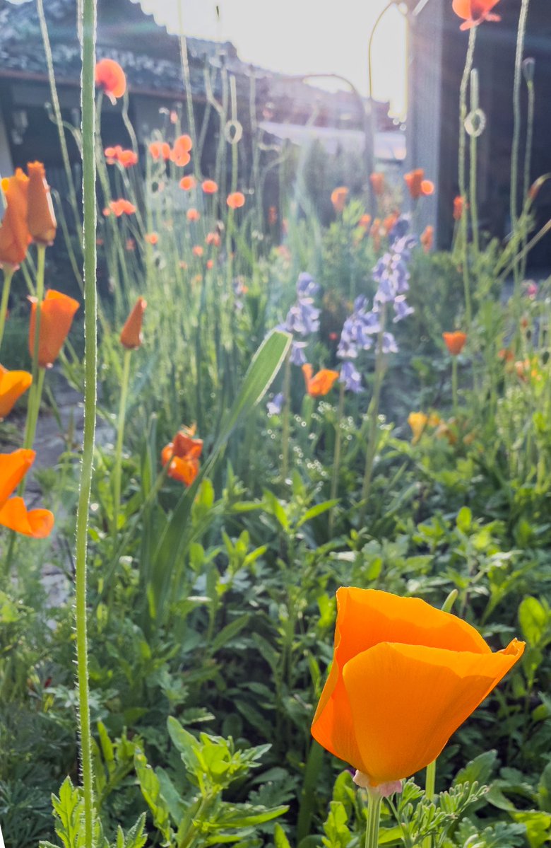 yatakaharu's tweet image. #iphone16pro #Lightroom