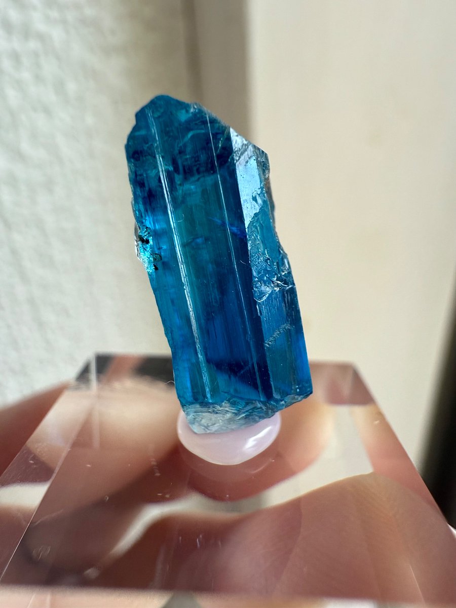 盆栽TOM tweet media