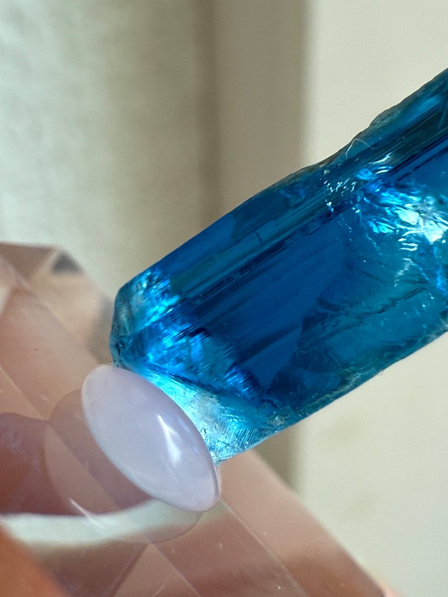 盆栽TOM tweet media