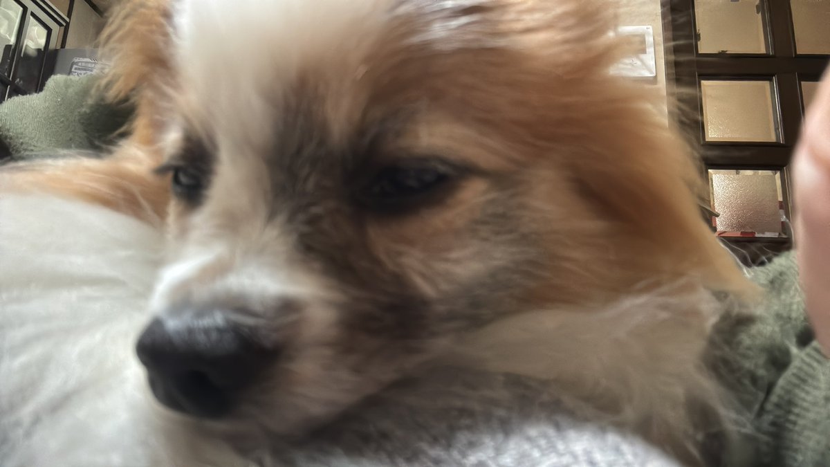 chamatan6's tweet photo. @choualacrem3 まだ時間あるから寝てるねん https://t.co/96VK0QNuXn