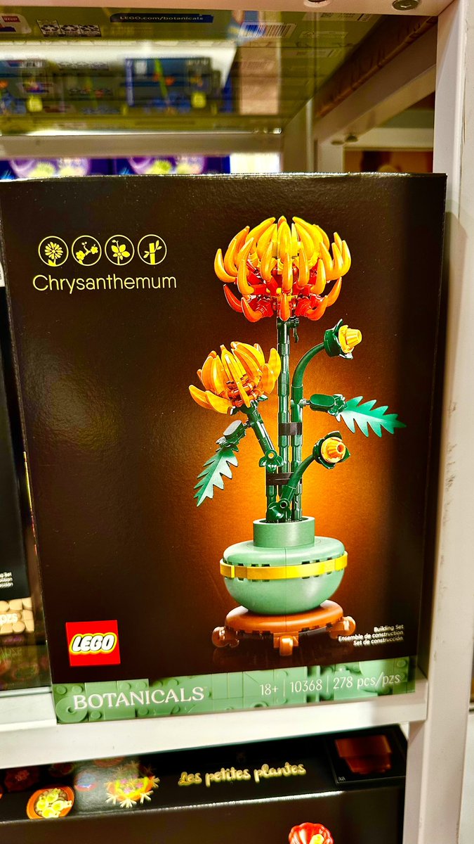 AdamRussel66622's tweet image. Lego Botanicals - Chrysanthemum 
[ 10368 ]

#Lego #LegoBotanicals #Botanicals
#Chrysanthemum #Flowers #Plant 
#Merchandise #Product #Collectible 
#Toys #America #usa