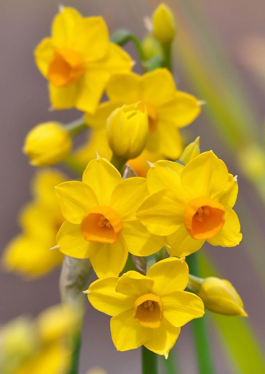 Rajnish✌🏼 tweet media