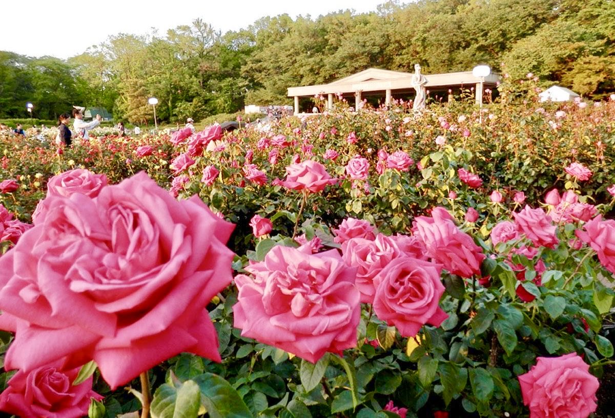 極上の旅図鑑 tweet media