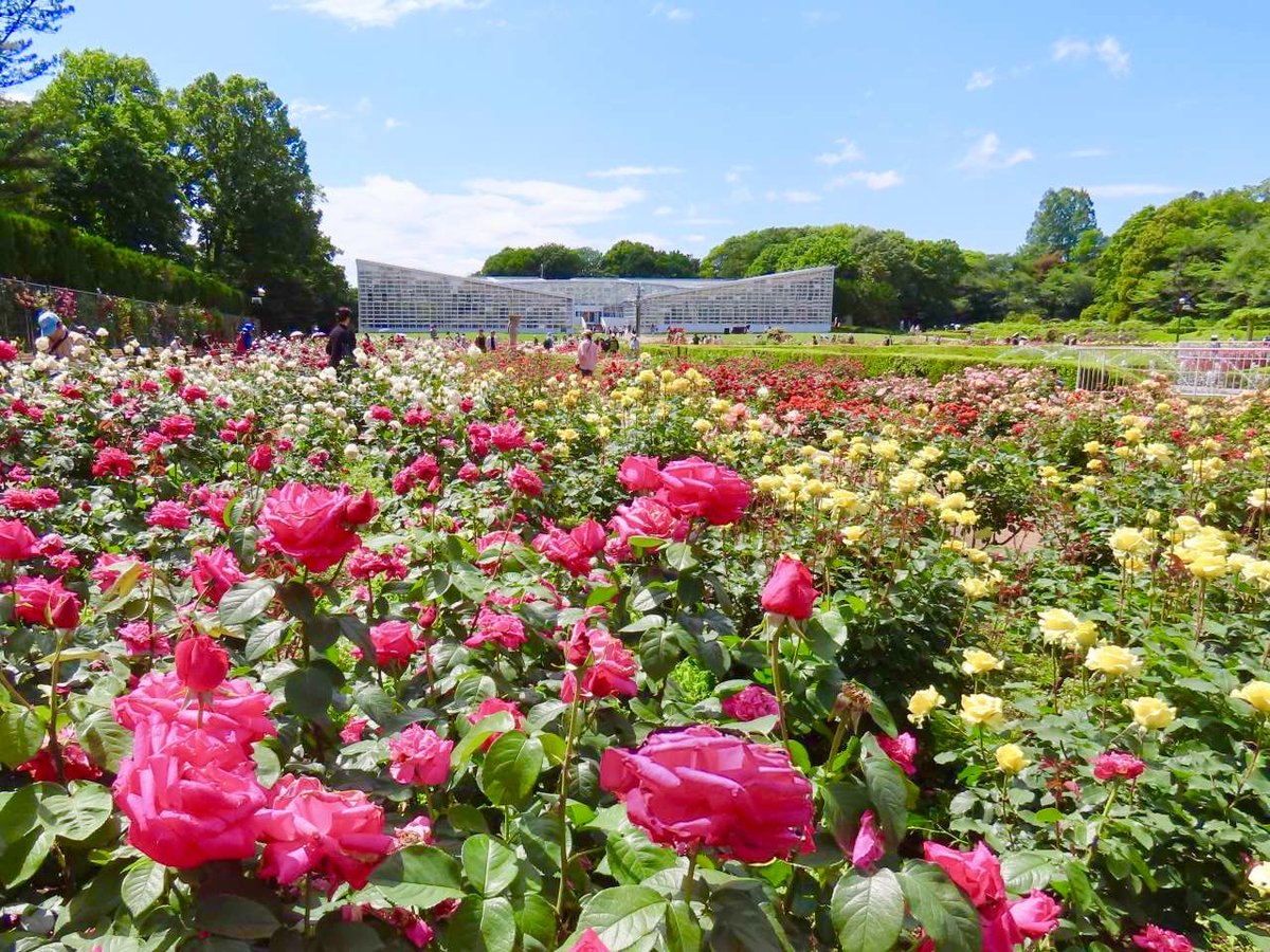 極上の旅図鑑 tweet media