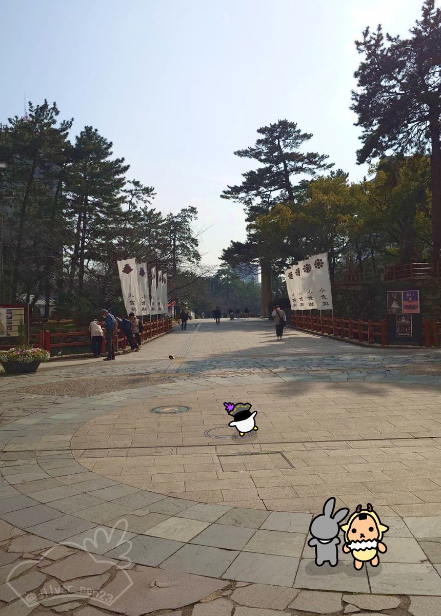 シルバーくん tweet media