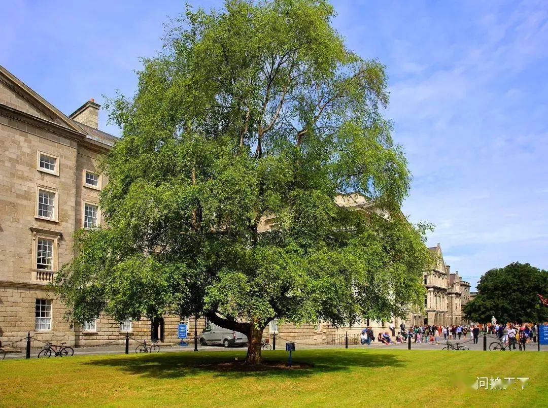 رعد حسين العبودي tweet media