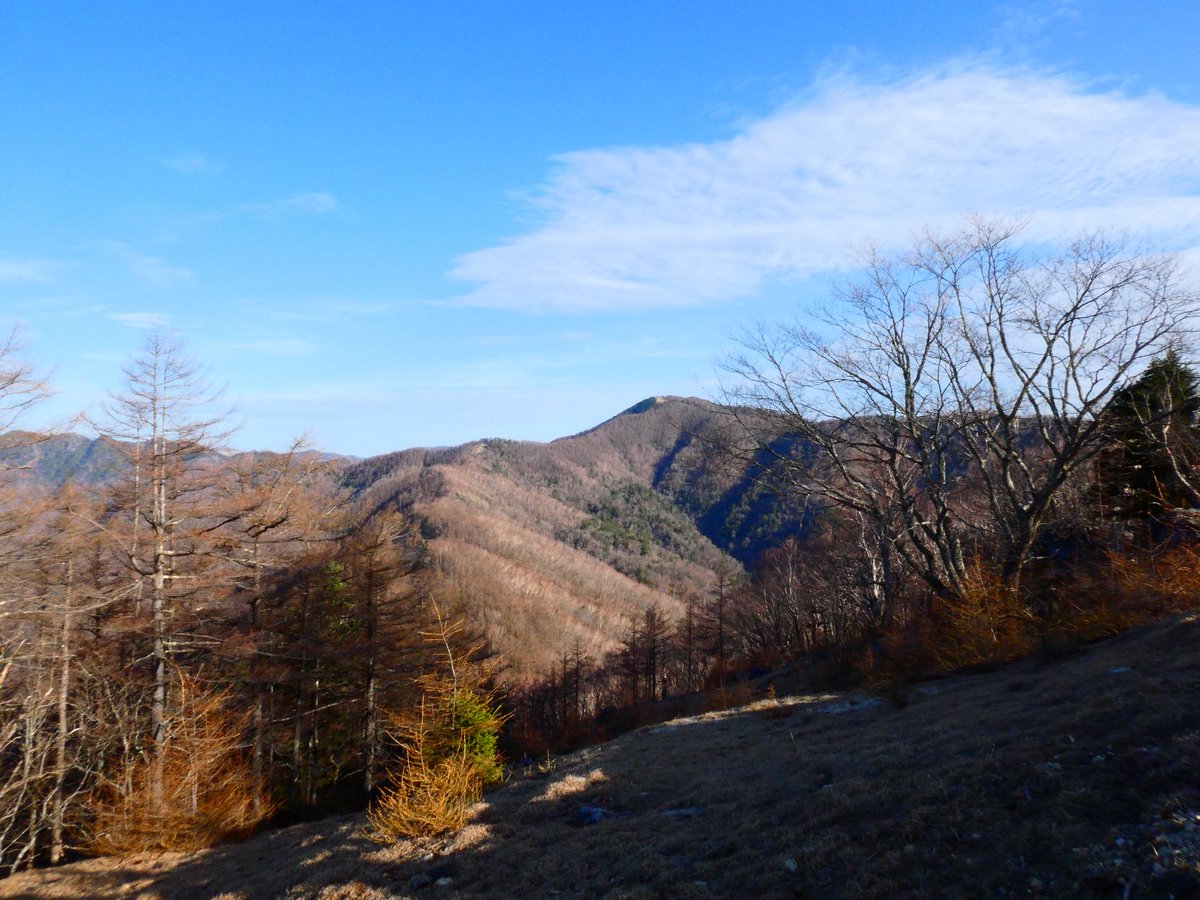 Masa in 信州上田 tweet media