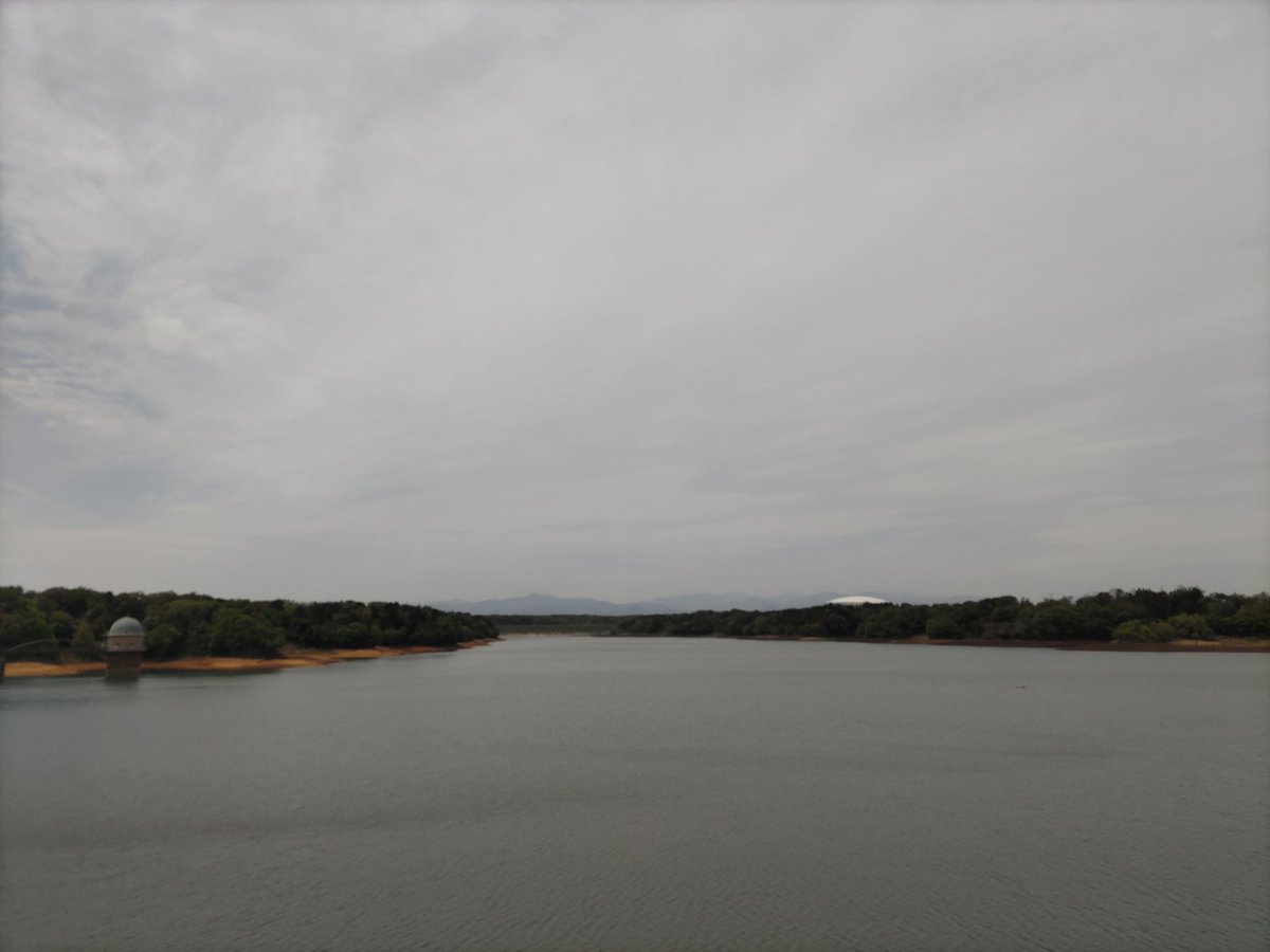 真心商会（鹿） tweet media