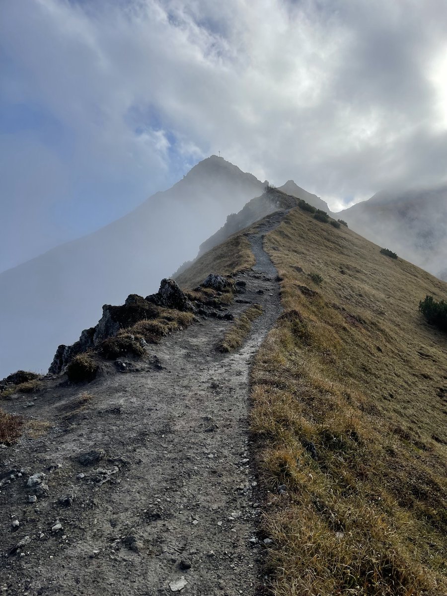 Monty Metzger tweet media