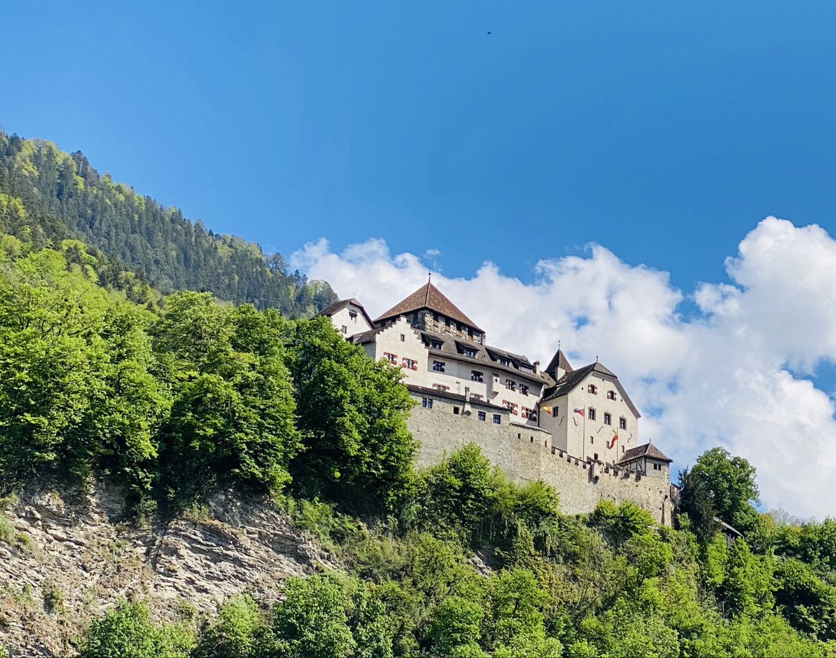 Monty Metzger tweet media