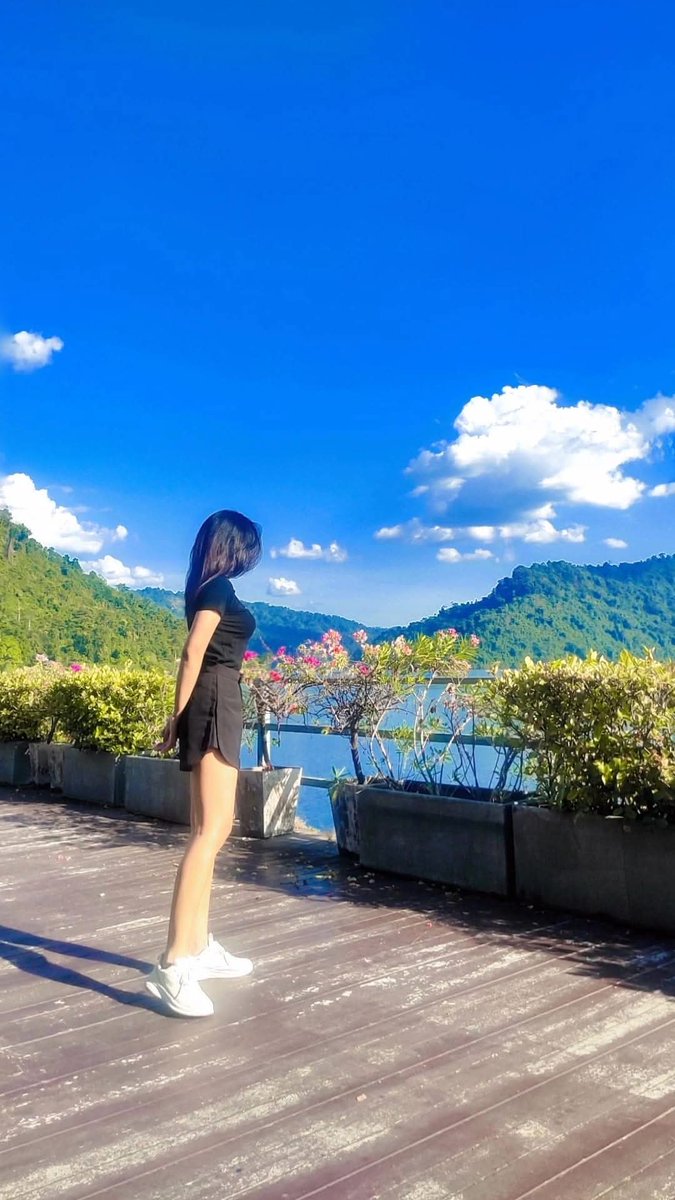 ระยอง tweet media