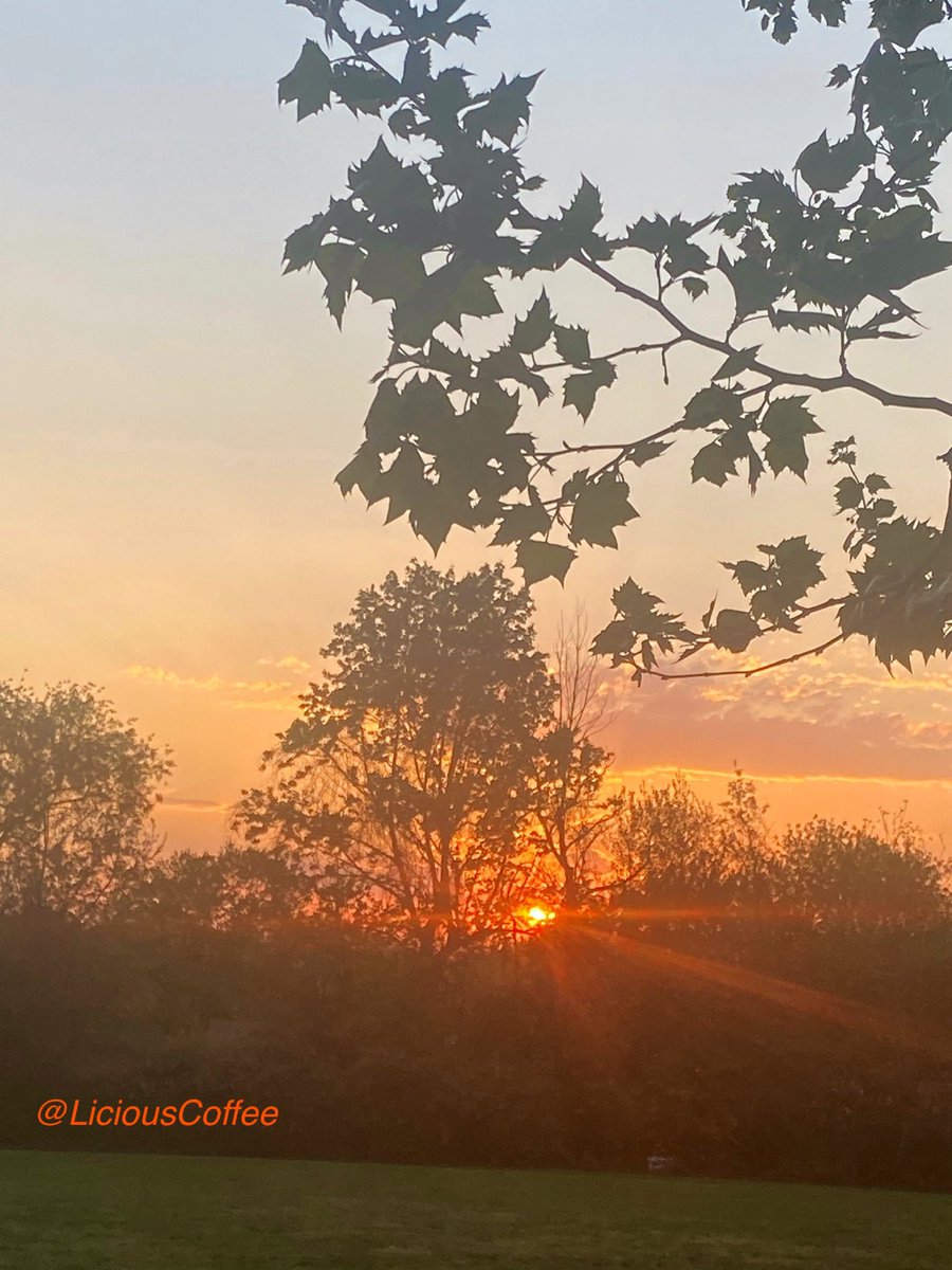 LiciousCoffee's tweet image. The 🌎 is full of amazing contents, see it, recognize it, create IT—find Art in Nature.

🧡About last night’s #DC #DMV 
piercing GOLDEN HOUR pics🌅⚡️
#Nature #NaturePhotography #Photography #PhotographyIsArt #Tree #Park #NatureWhispers #Sunset #SunsetPhotography #NatureWalks