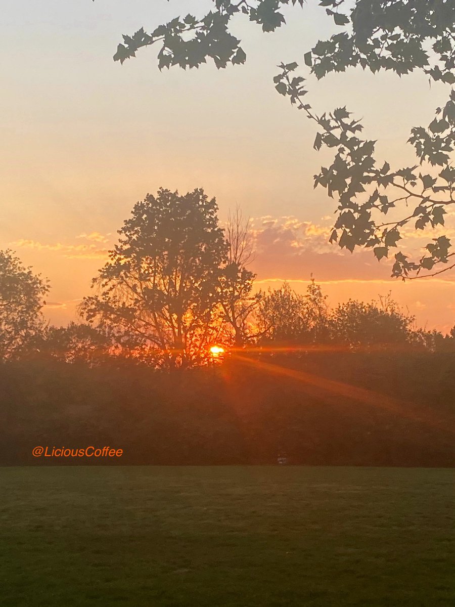 LiciousCoffee's tweet image. The 🌎 is full of amazing contents, see it, recognize it, create IT—find Art in Nature.

🧡About last night’s #DC #DMV 
piercing GOLDEN HOUR pics🌅⚡️
#Nature #NaturePhotography #Photography #PhotographyIsArt #Tree #Park #NatureWhispers #Sunset #SunsetPhotography #NatureWalks