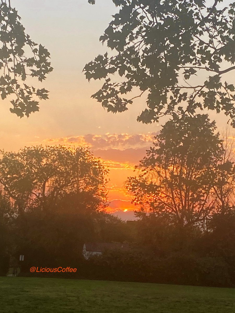 LiciousCoffee's tweet image. The 🌎 is full of amazing contents, see it, recognize it, create IT—find Art in Nature.

🧡About last night’s #DC #DMV 
piercing GOLDEN HOUR pics🌅⚡️
#Nature #NaturePhotography #Photography #PhotographyIsArt #Tree #Park #NatureWhispers #Sunset #SunsetPhotography #NatureWalks