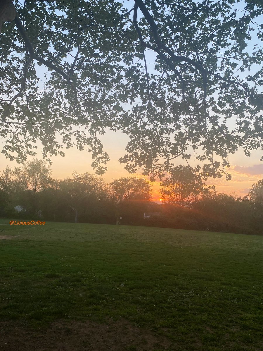 LiciousCoffee's tweet image. The 🌎 is full of amazing contents, see it, recognize it, create IT—find Art in Nature.

🧡About last night’s #DC #DMV 
piercing GOLDEN HOUR pics🌅⚡️
#Nature #NaturePhotography #Photography #PhotographyIsArt #Tree #Park #NatureWhispers #Sunset #SunsetPhotography #NatureWalks