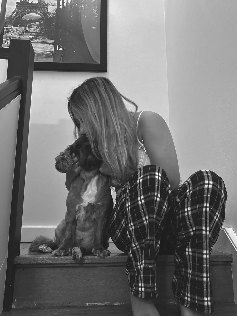 maddy ☆ tweet media