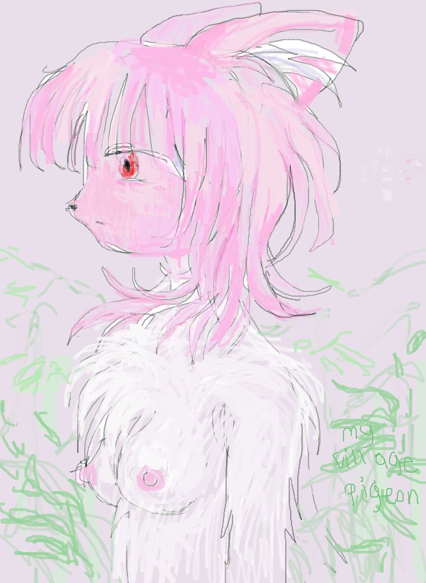 VillagePigeon tweet media