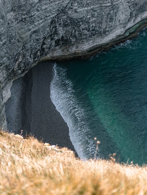 Samantha Raymond tweet media