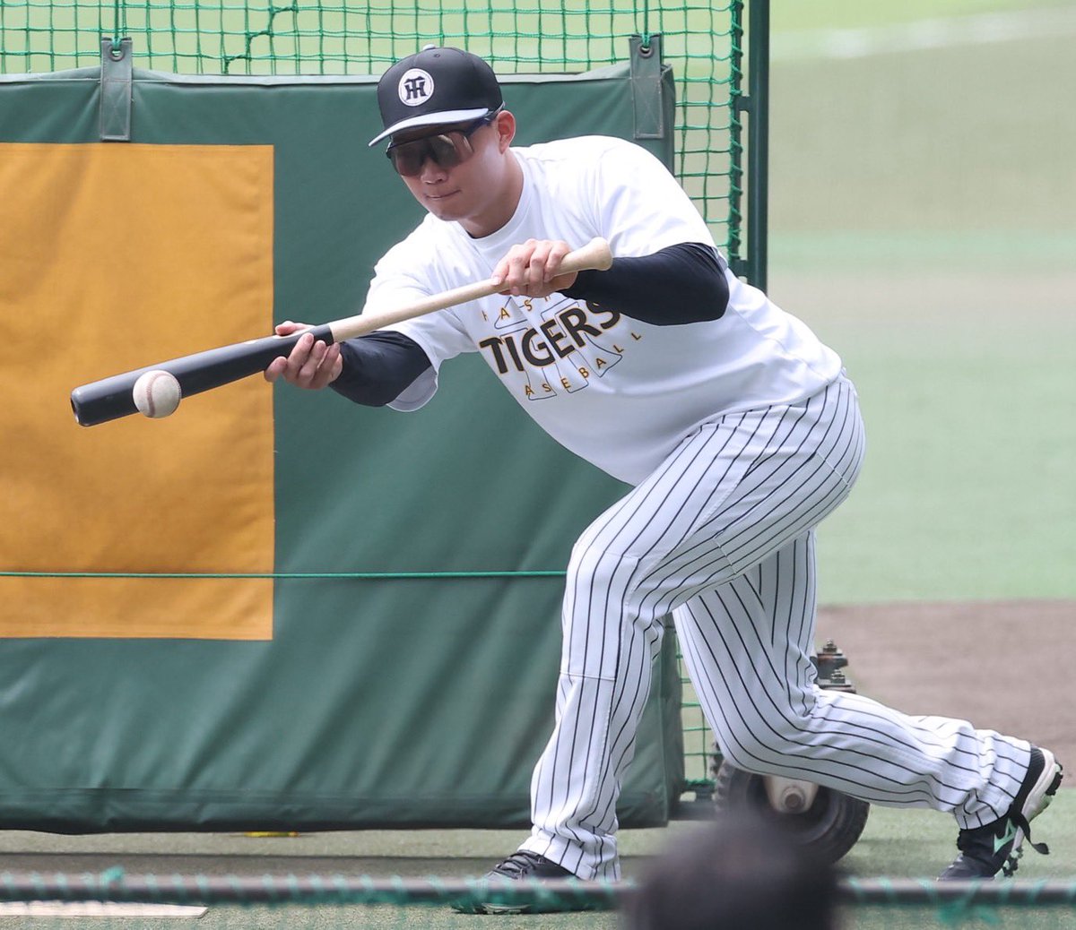 デイリー阪神担当×タイガース tweet media