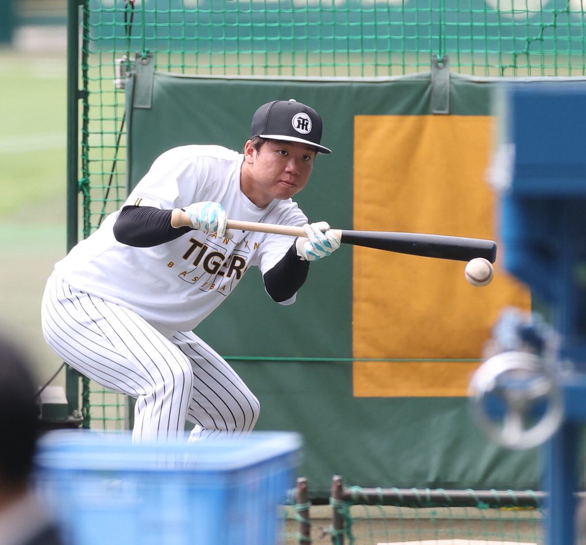 デイリー阪神担当×タイガース tweet media