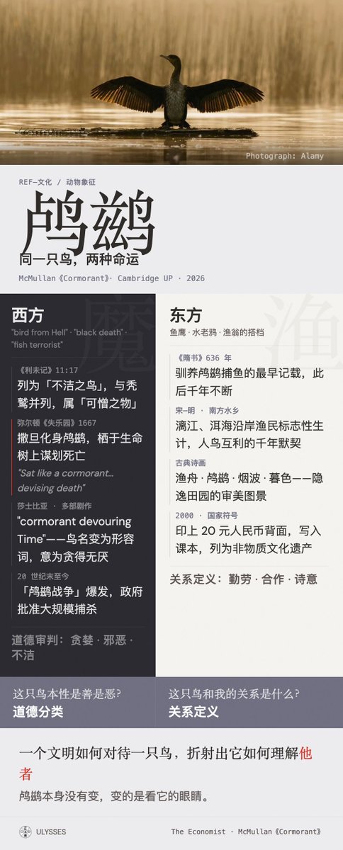 同一只鸟，两种命运：鸬鹚在中西方文化中的镜像