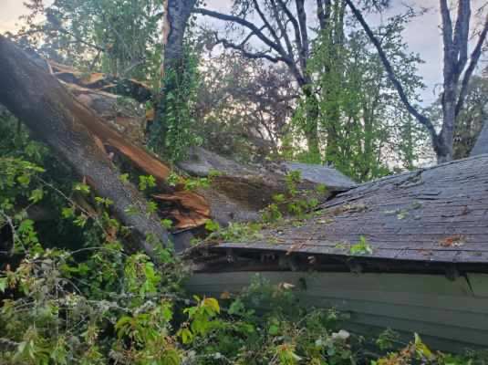 ForestGroveFire's tweet photo. Around 7:30 this evening, we responded to reports of a tree that had fallen onto a house on B St near 23rd Ave. Our crews assessed for injuries and potential hazards, and thankfully found none. But the oak tree did cause damage to a house and neighboring garage. https://t.co/llhkpn8JX5