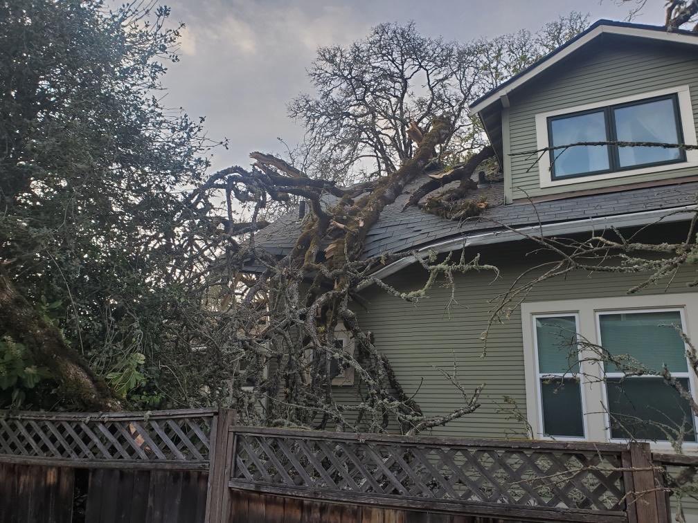 ForestGroveFire's tweet photo. Around 7:30 this evening, we responded to reports of a tree that had fallen onto a house on B St near 23rd Ave. Our crews assessed for injuries and potential hazards, and thankfully found none. But the oak tree did cause damage to a house and neighboring garage. https://t.co/llhkpn8JX5