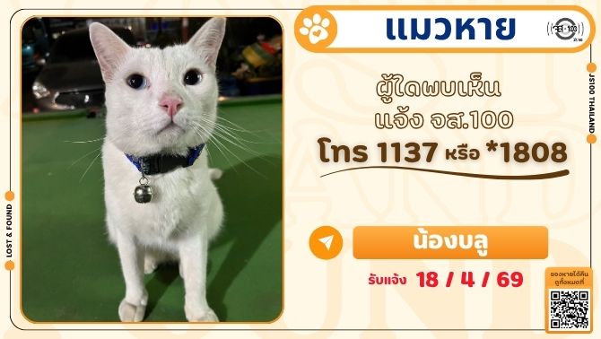 แมวหายจากหมู่บ้านโอโซน ซ.พันธุวงษ์ - คลองสี่วาพาสวัสดิ์ อ.เมือง จ.สมุทรสาคร ผู้ใดพบเห็นแจ้ง JS100 โทร *1808 หรือ 1137

รายละเอียดเพิ่มเติม : js100.com/en/site/lost_f…

#แมวหาย #ตามหาแมว #JS100