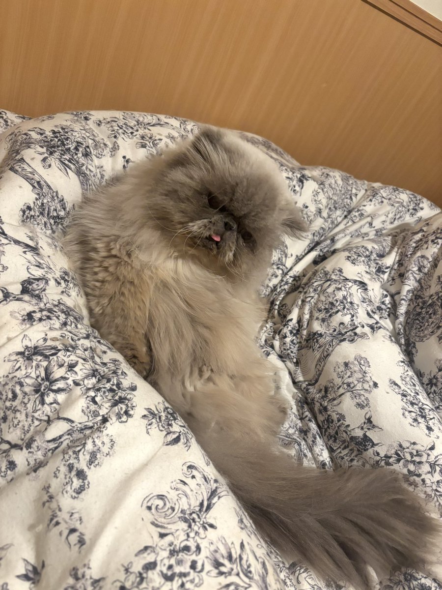 むうとゆぱ tweet media