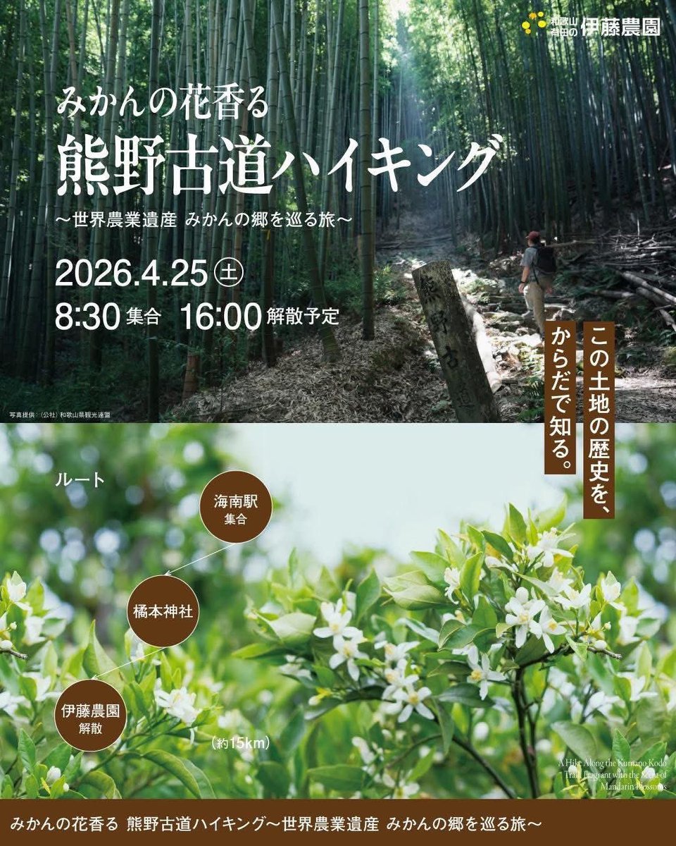 和歌山 有田の伊藤農園のきくちゃん tweet media