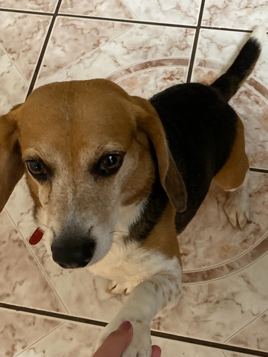 EBwaffIes tweet media