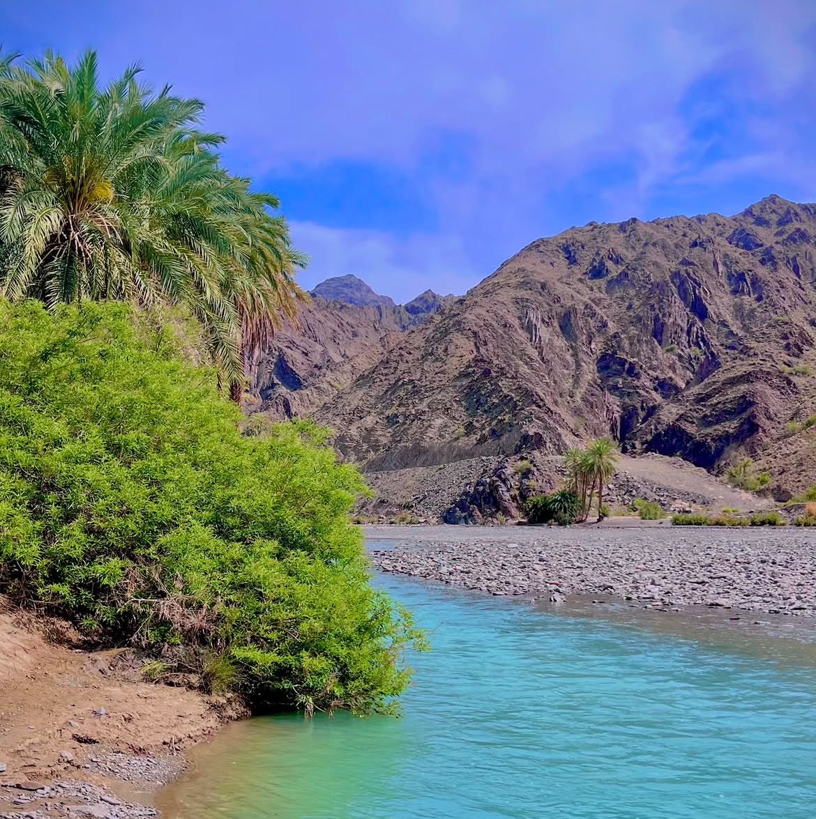 سَیّد بلوچ tweet media